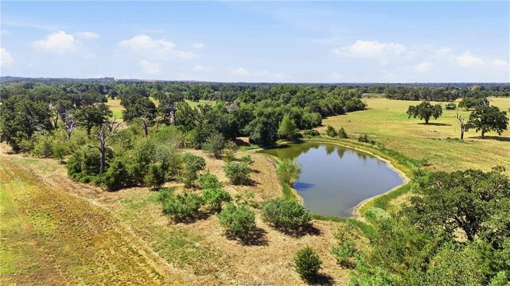 15.85 acres in Robertson County - photo 7