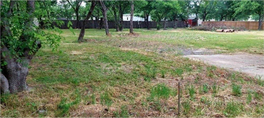 0.17 acres in Denton County gallery image 4