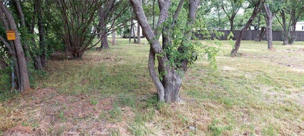 0.17 acres in Denton County gallery image 3