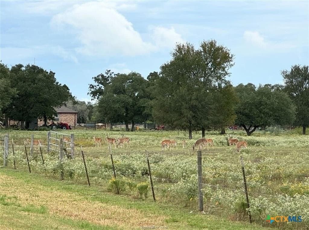 10 acres in Lee County - photo 40