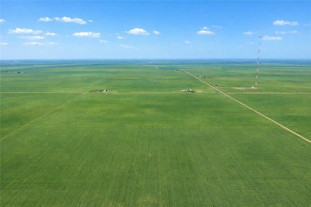 10 acres in Nueces County gallery image 4