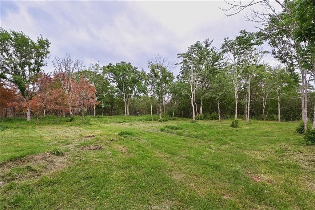 5.57 acres in Brazos County - photo 6