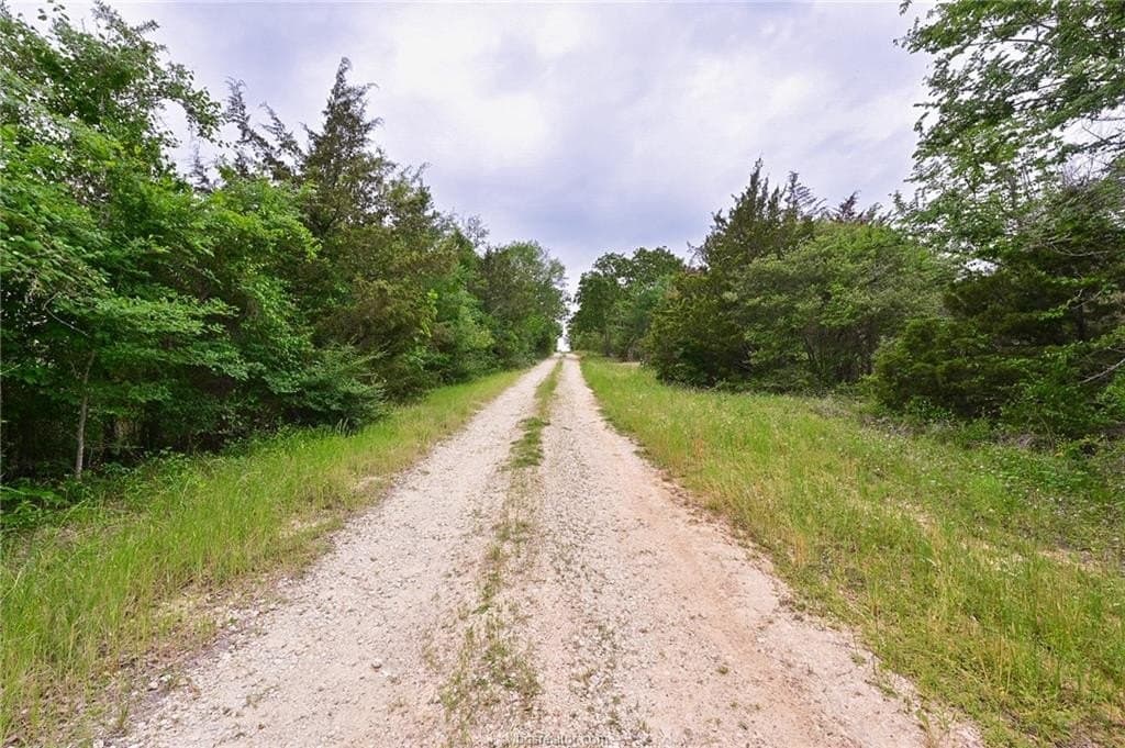 5.57 acres in Brazos County - photo 12