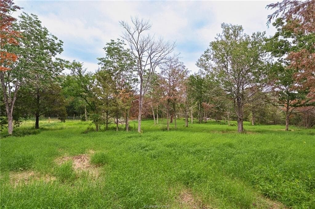 5.57 acres in Brazos County - photo 9
