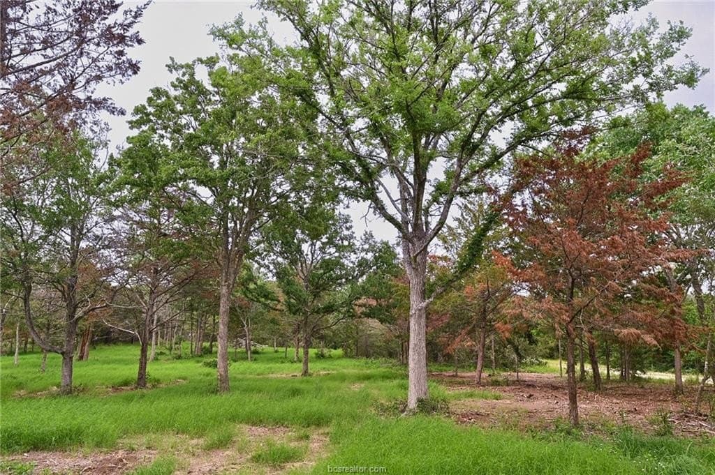 5.57 acres in Brazos County - photo 10