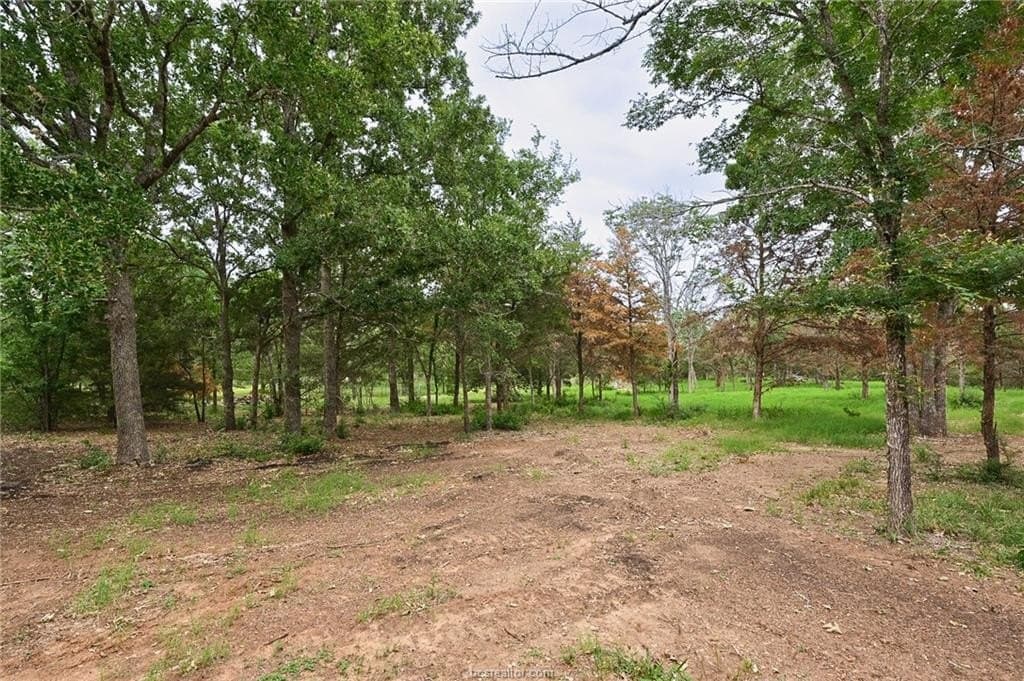 5.57 acres in Brazos County - photo 8