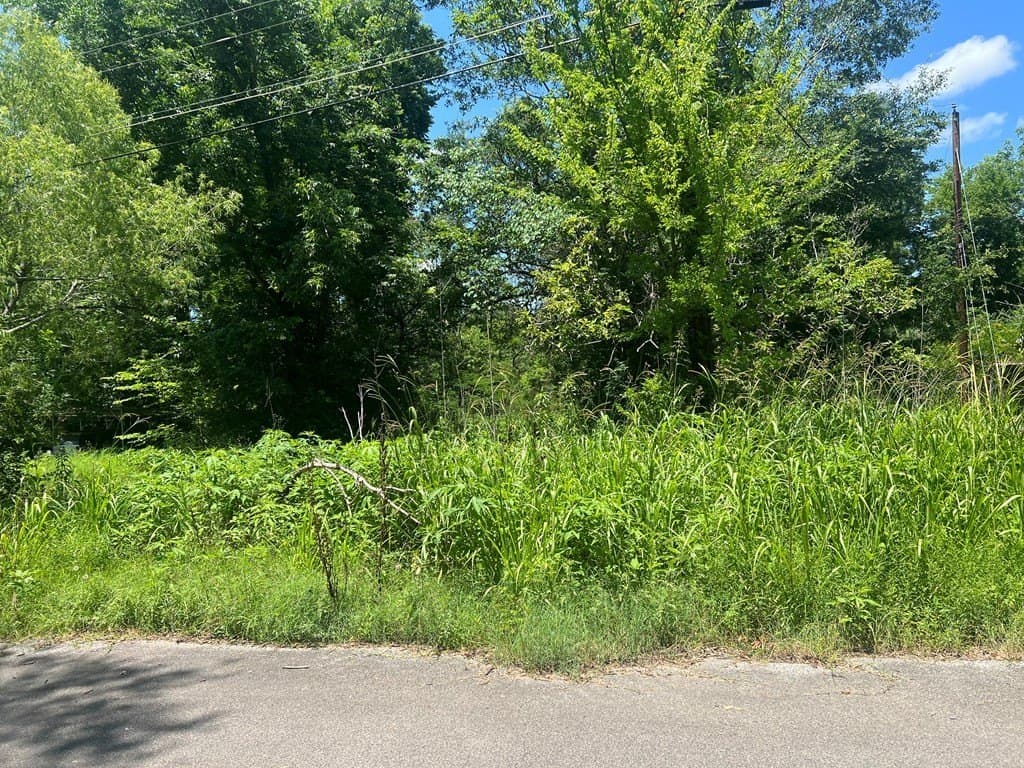 0.07 acres in Texas County - photo 2