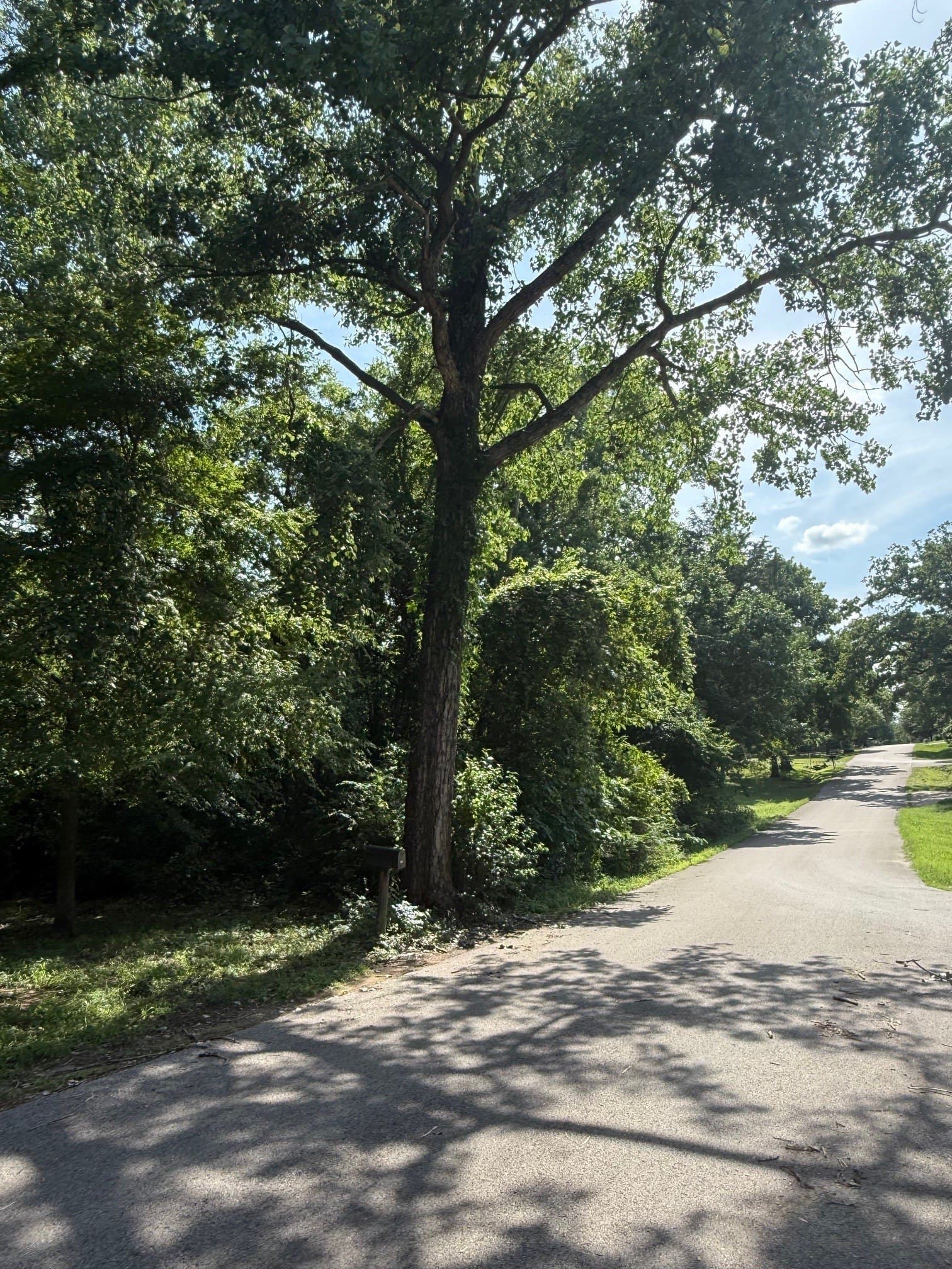 0.22 acres in Henderson County gallery image 4