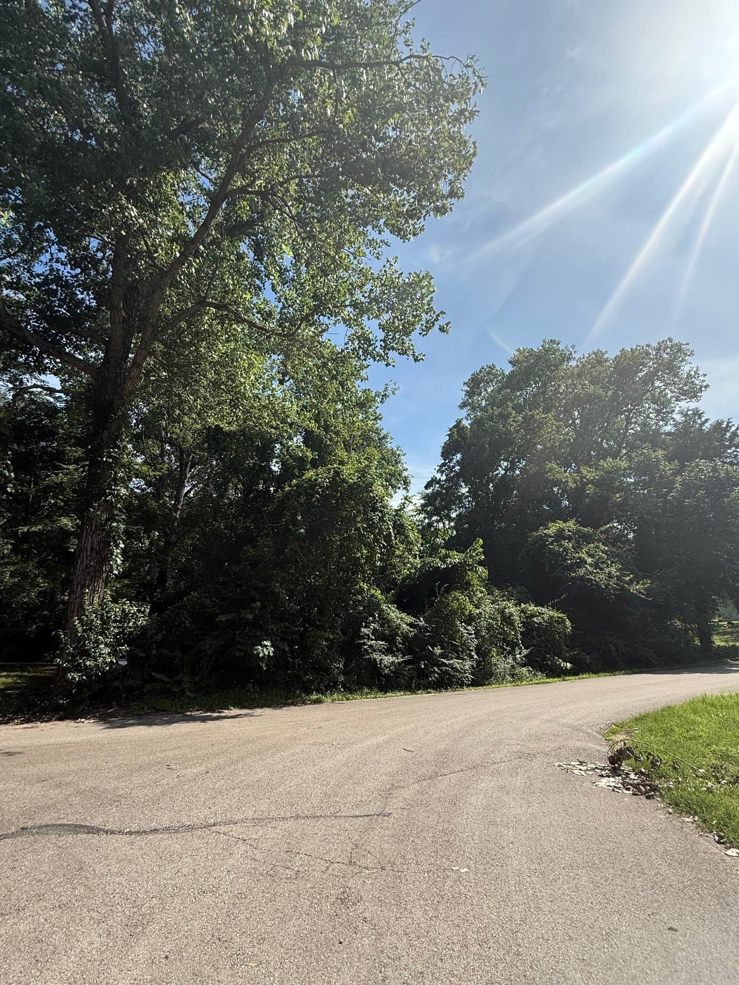 0.22 acres in Henderson County gallery image 2