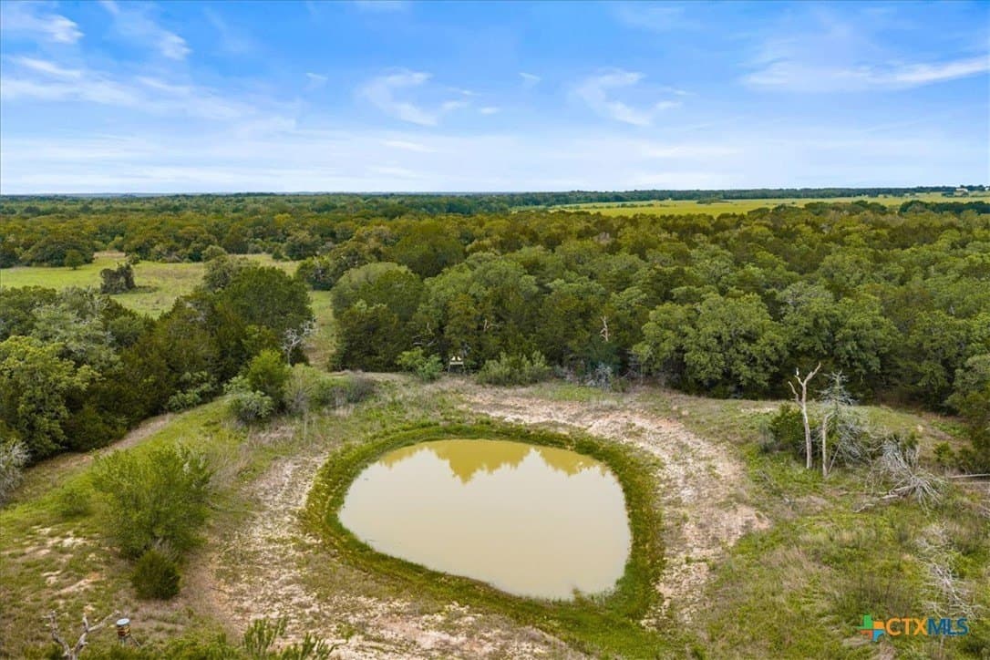 29.98 acres in Fayette County gallery image 3