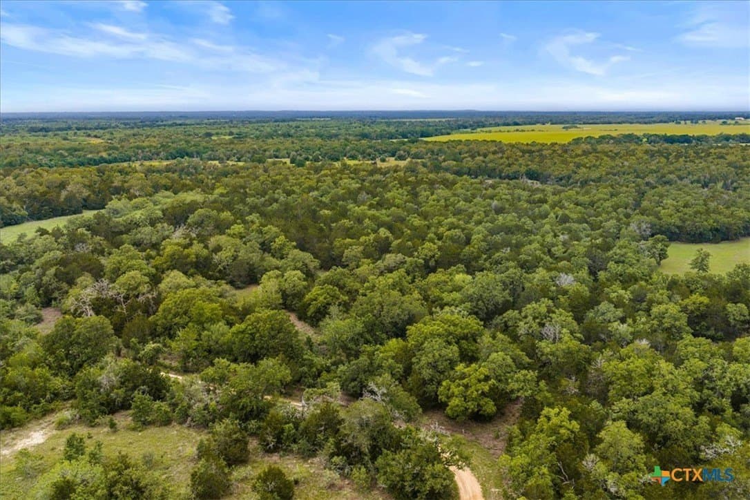 29.98 acres in Fayette County - photo 8