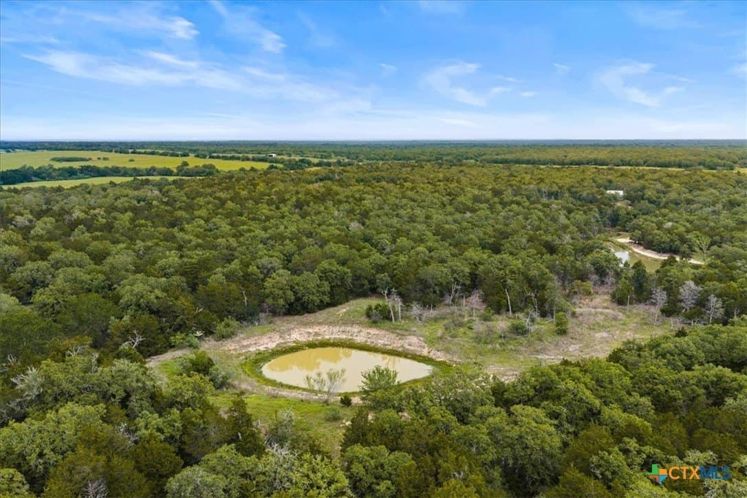 29.98 acres in Fayette County gallery image 4