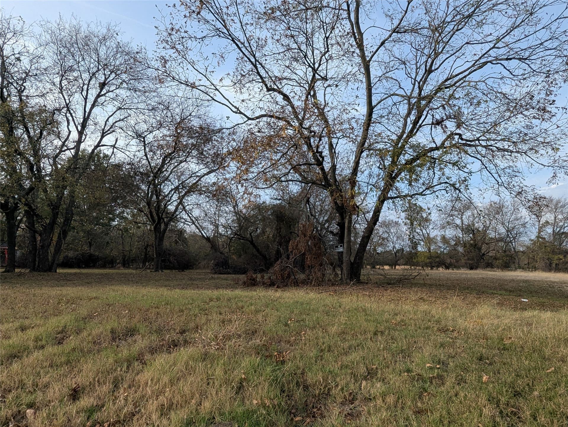 0.31 acres in Fannin County gallery image 4