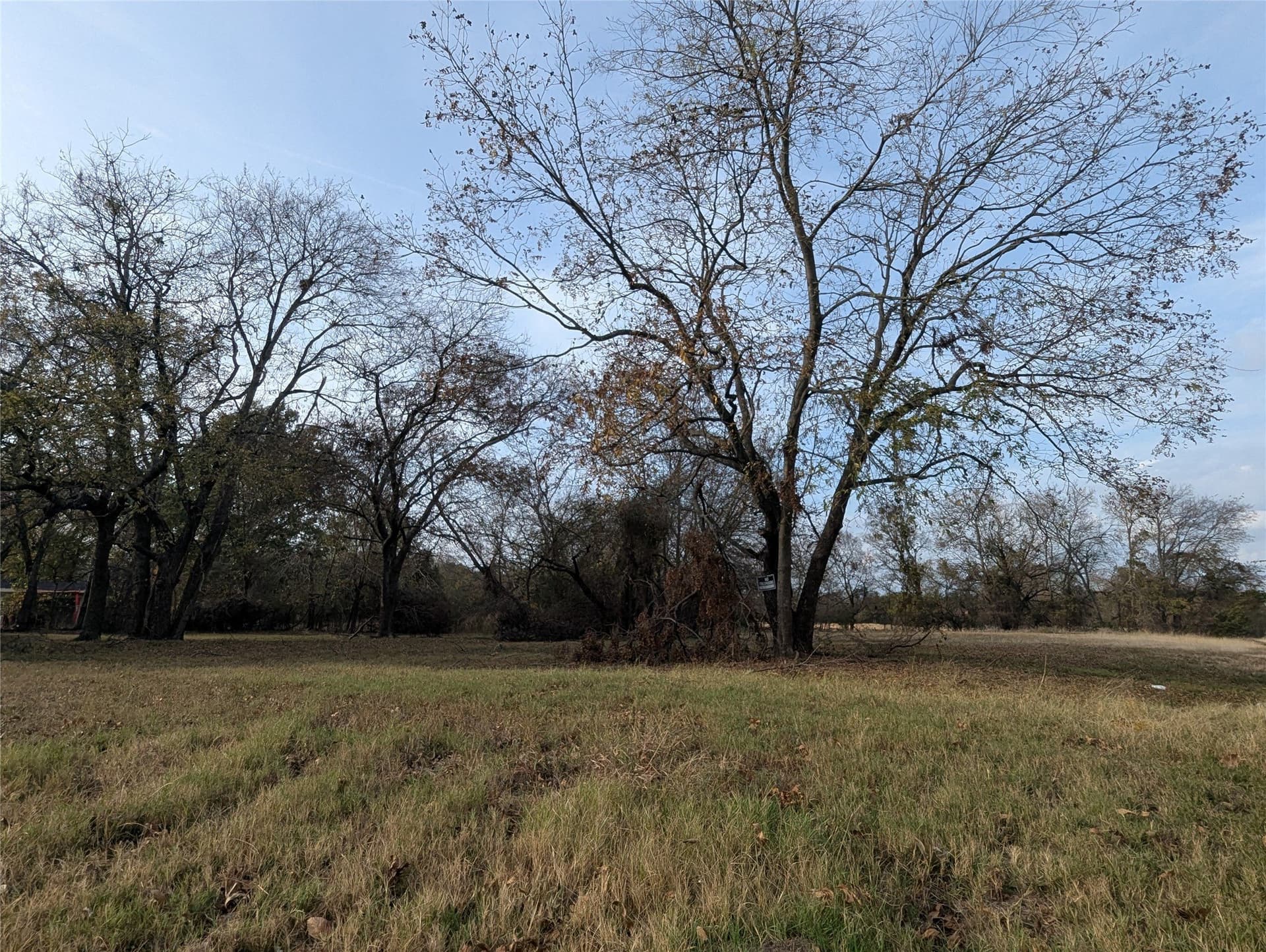 0.31 acres in Fannin County featured view