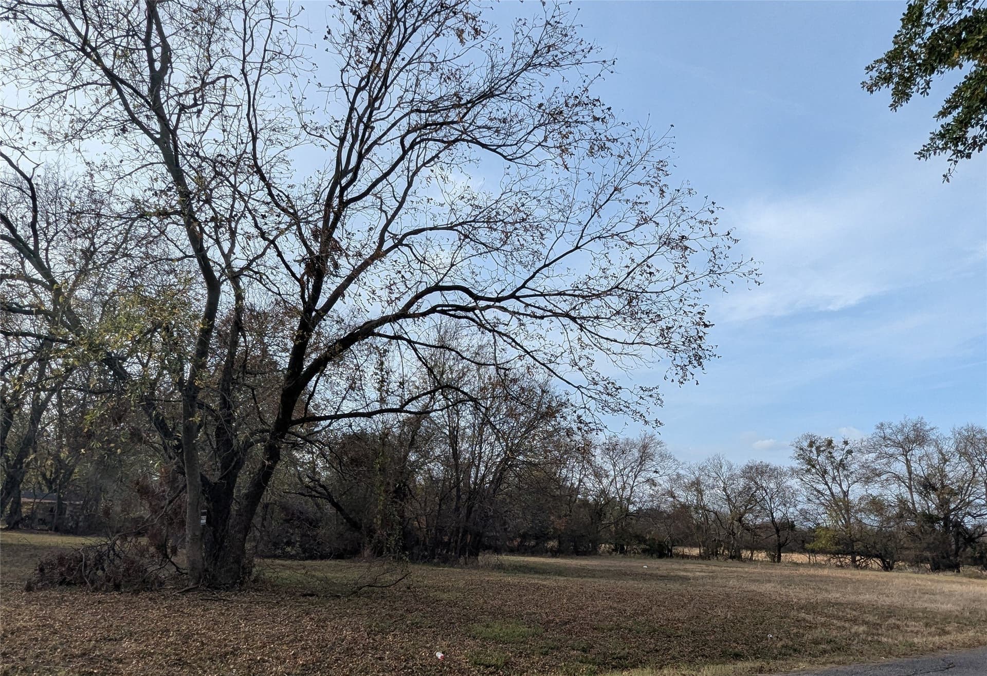 0.31 acres in Fannin County - photo 9