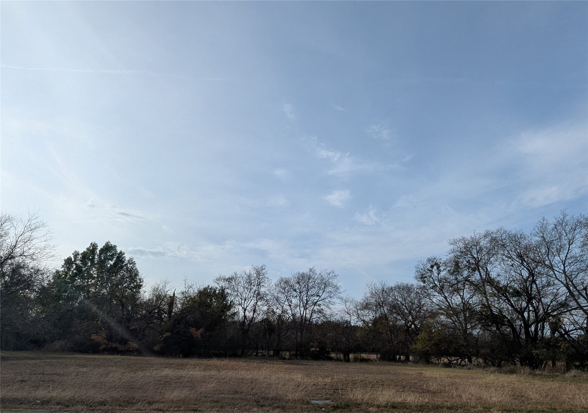 0.31 acres in Fannin County - photo 6