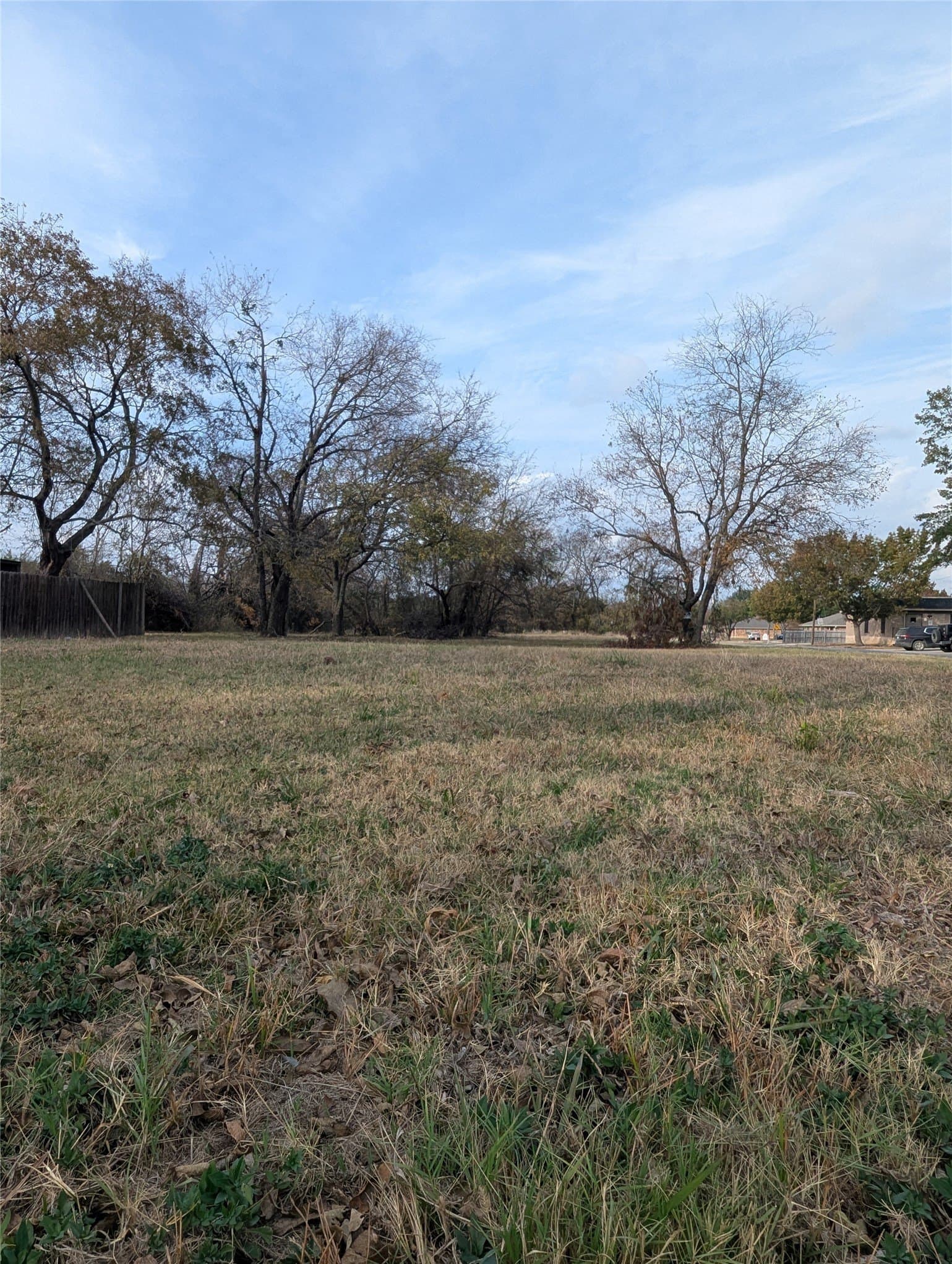 0.31 acres in Fannin County gallery image 3