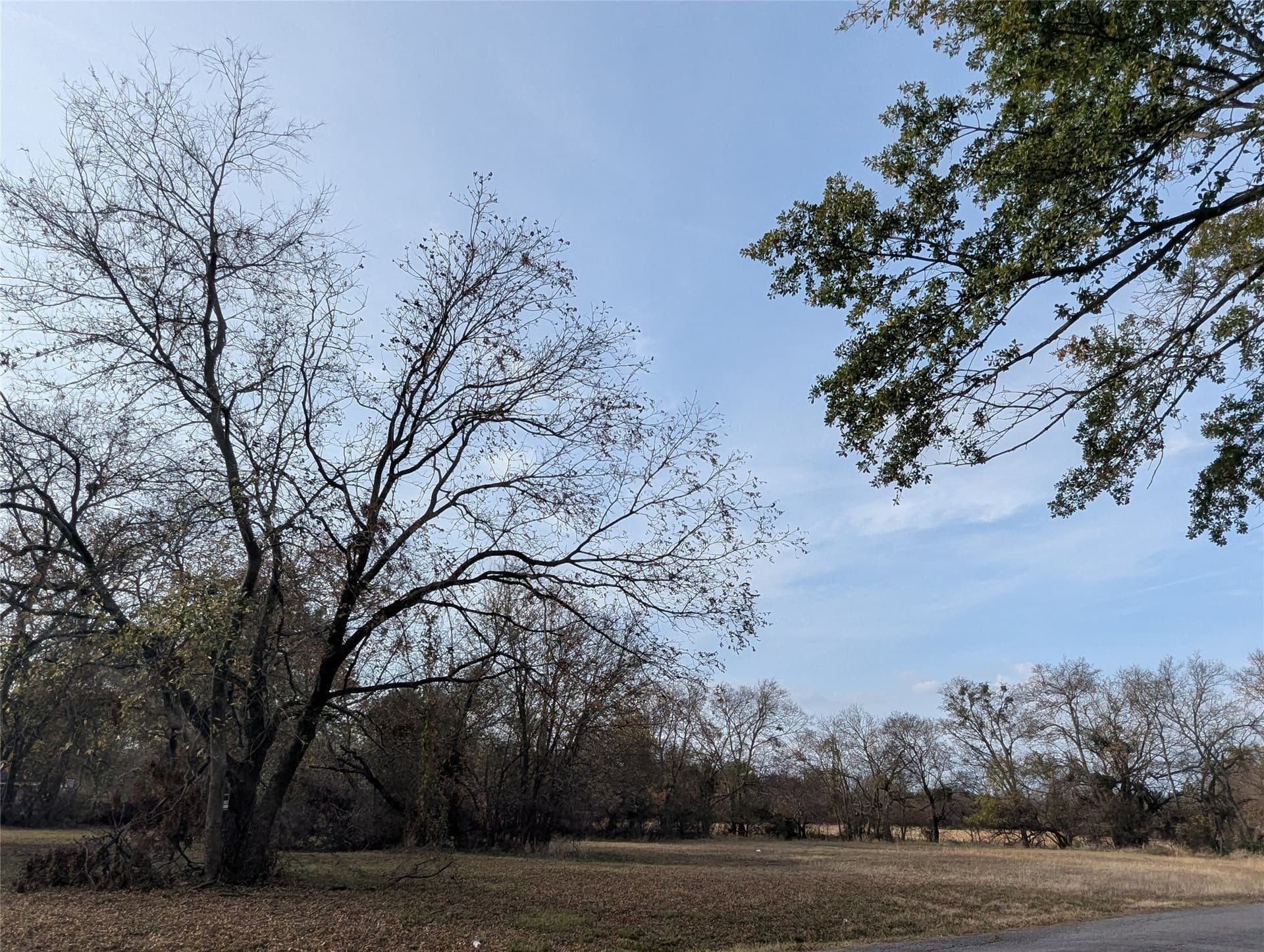 0.31 acres in Fannin County - photo 8