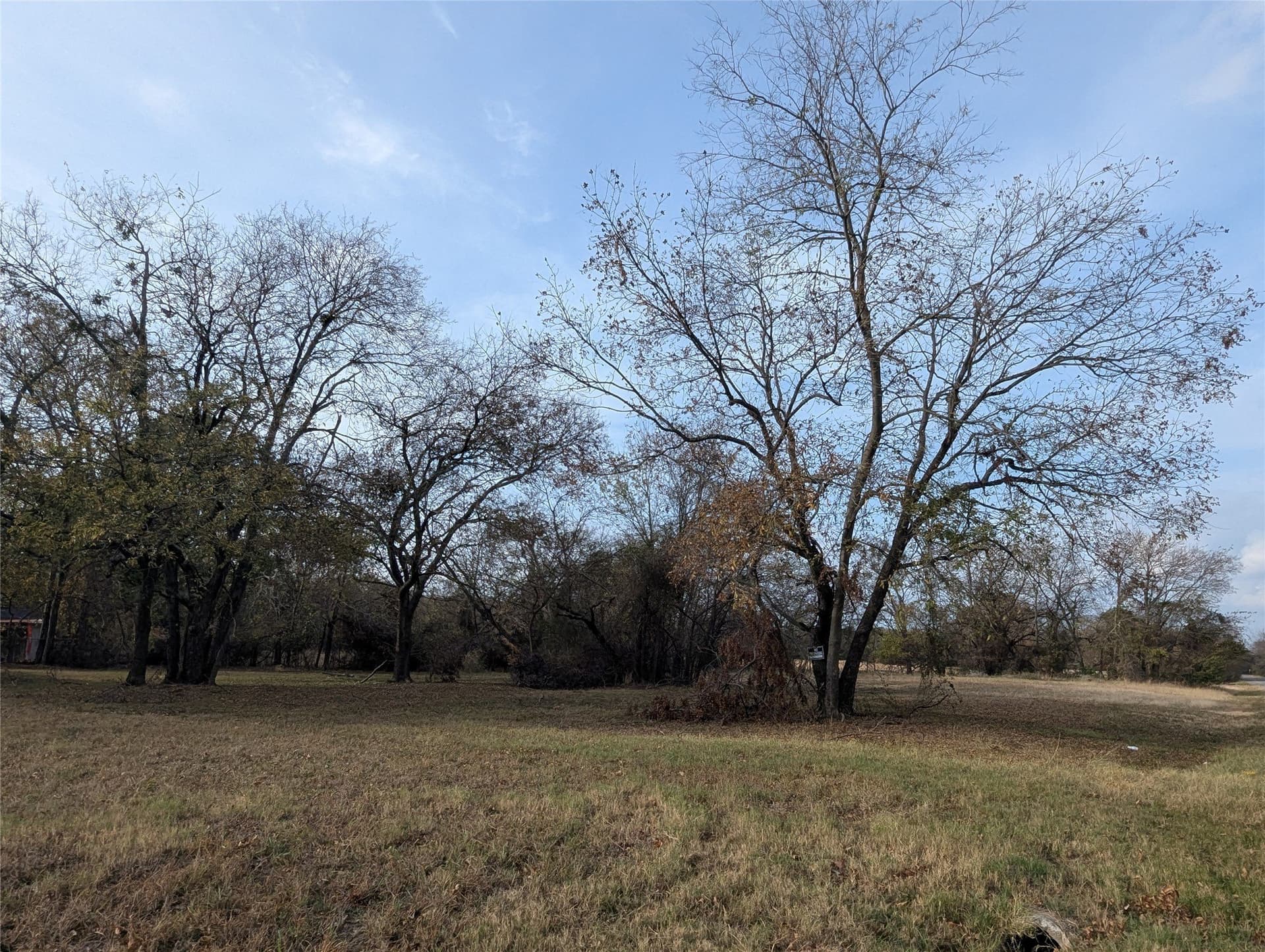 0.31 acres in Fannin County - photo 10