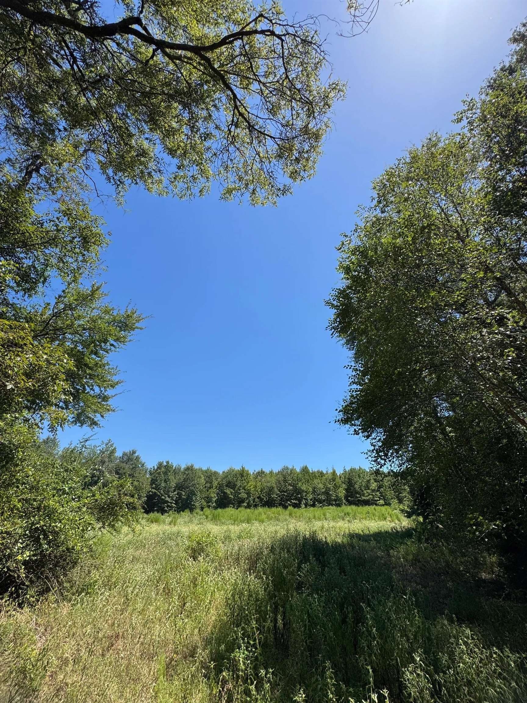 9.7 acres in Cass County - photo 22
