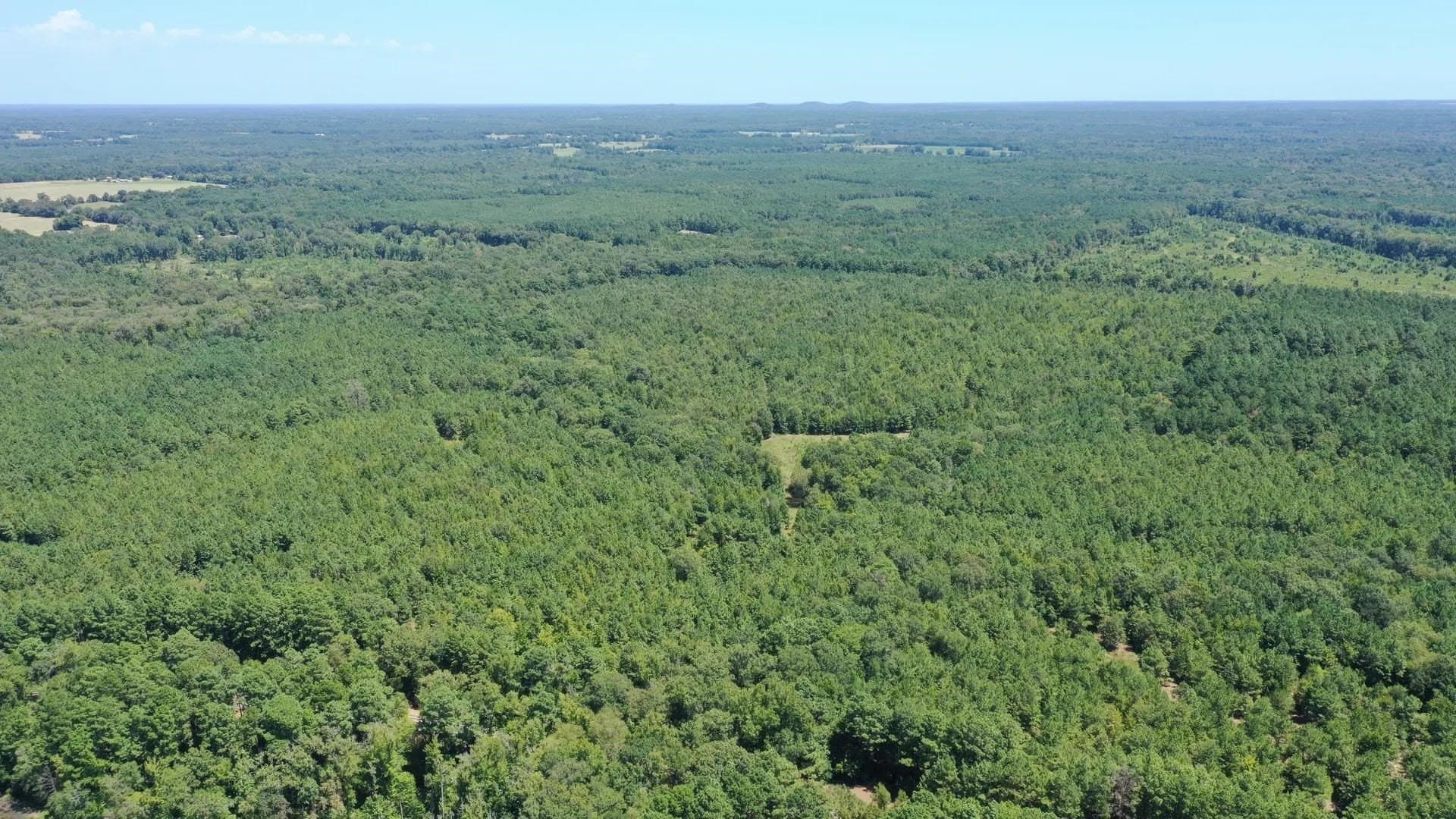 9.7 acres in Cass County - photo 5