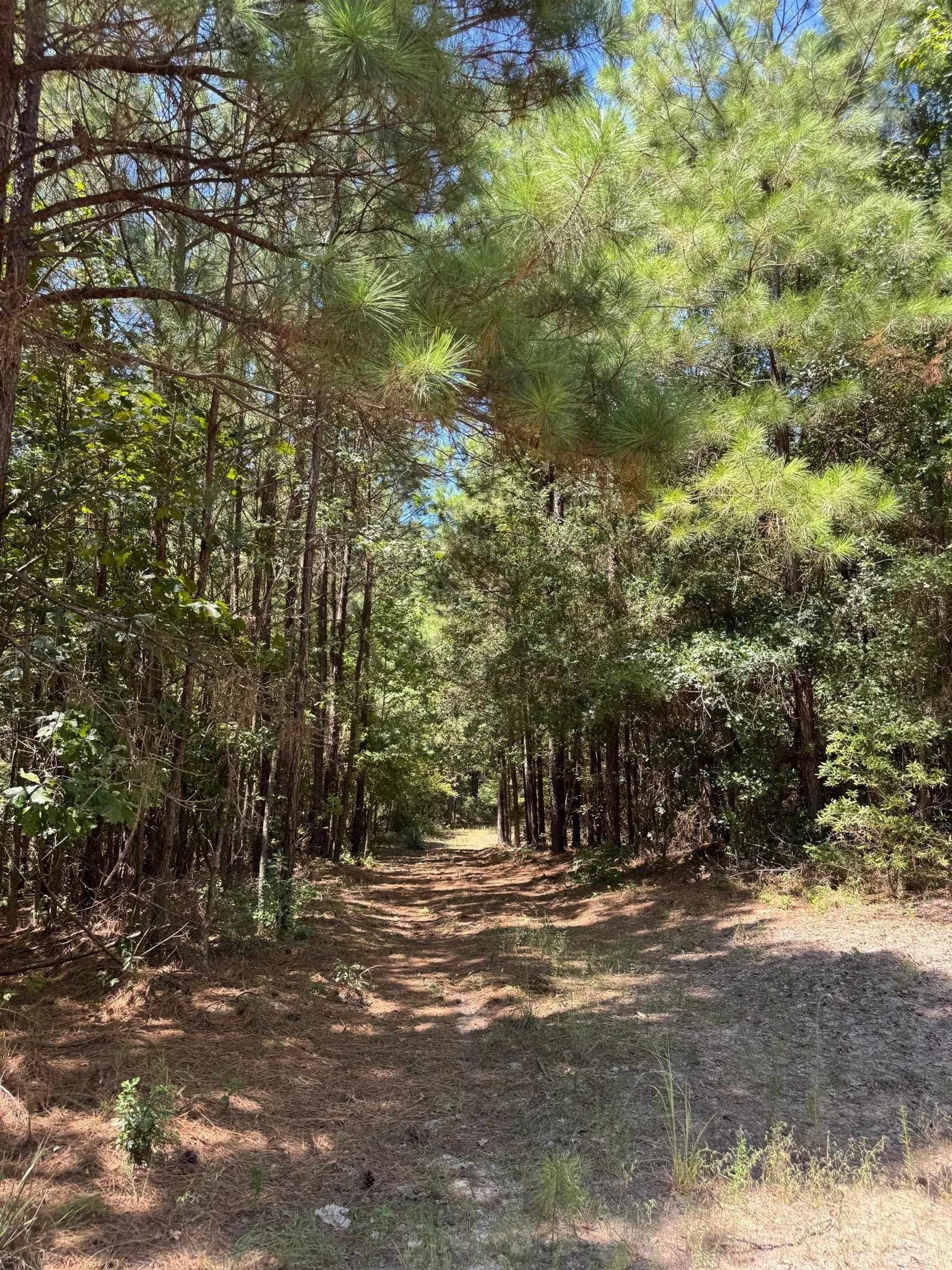 9.7 acres in Cass County - photo 24