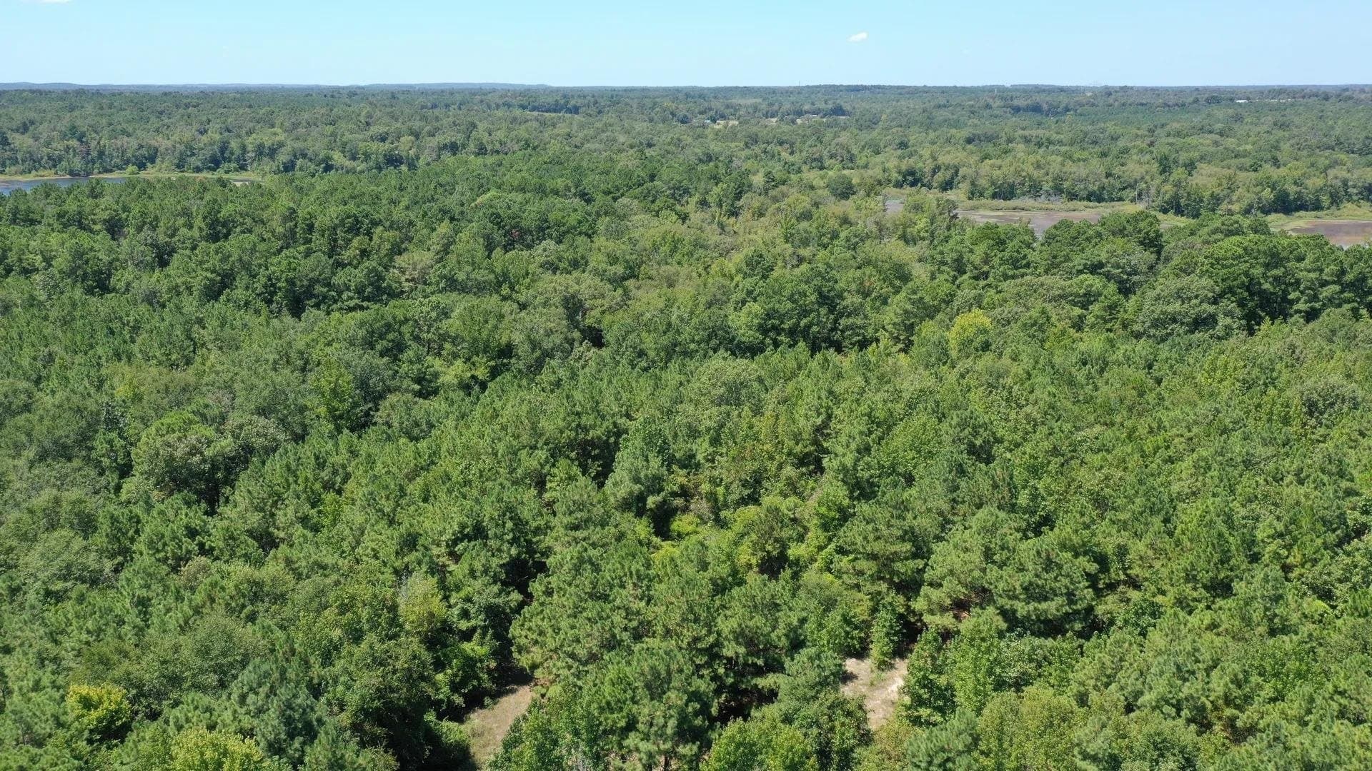 9.7 acres in Cass County - photo 8