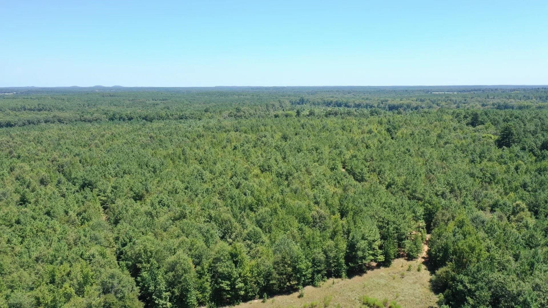 9.7 acres in Cass County - photo 7
