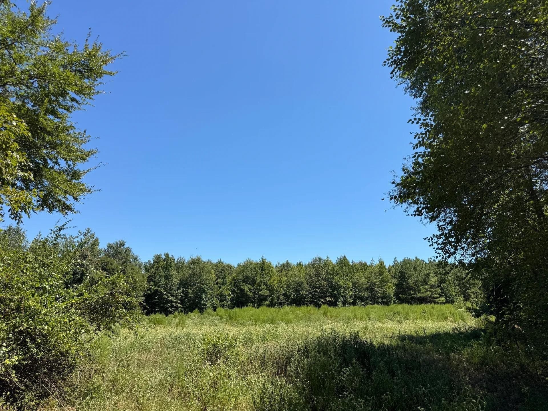 9.7 acres in Cass County - photo 21