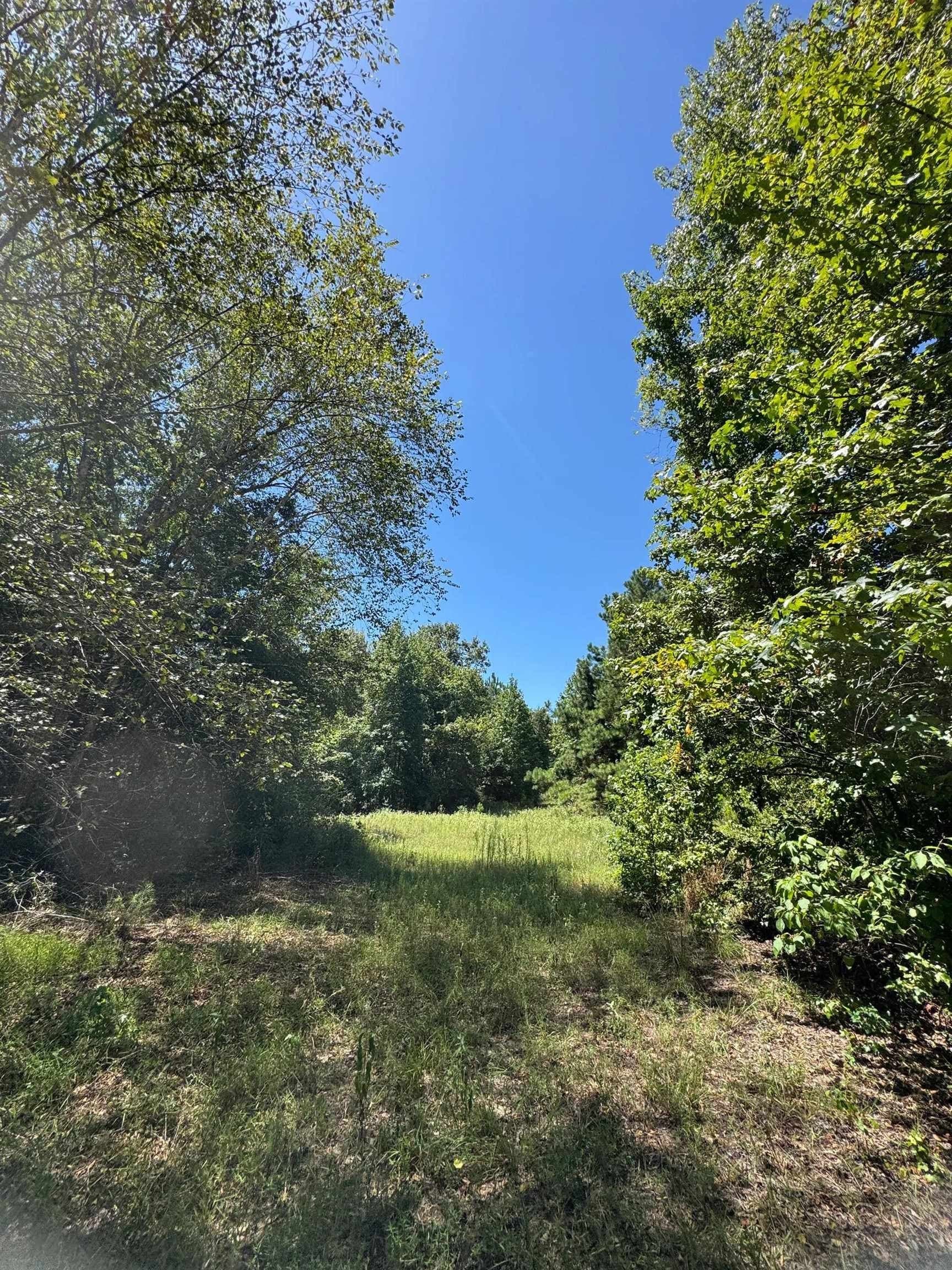 9.7 acres in Cass County - photo 23