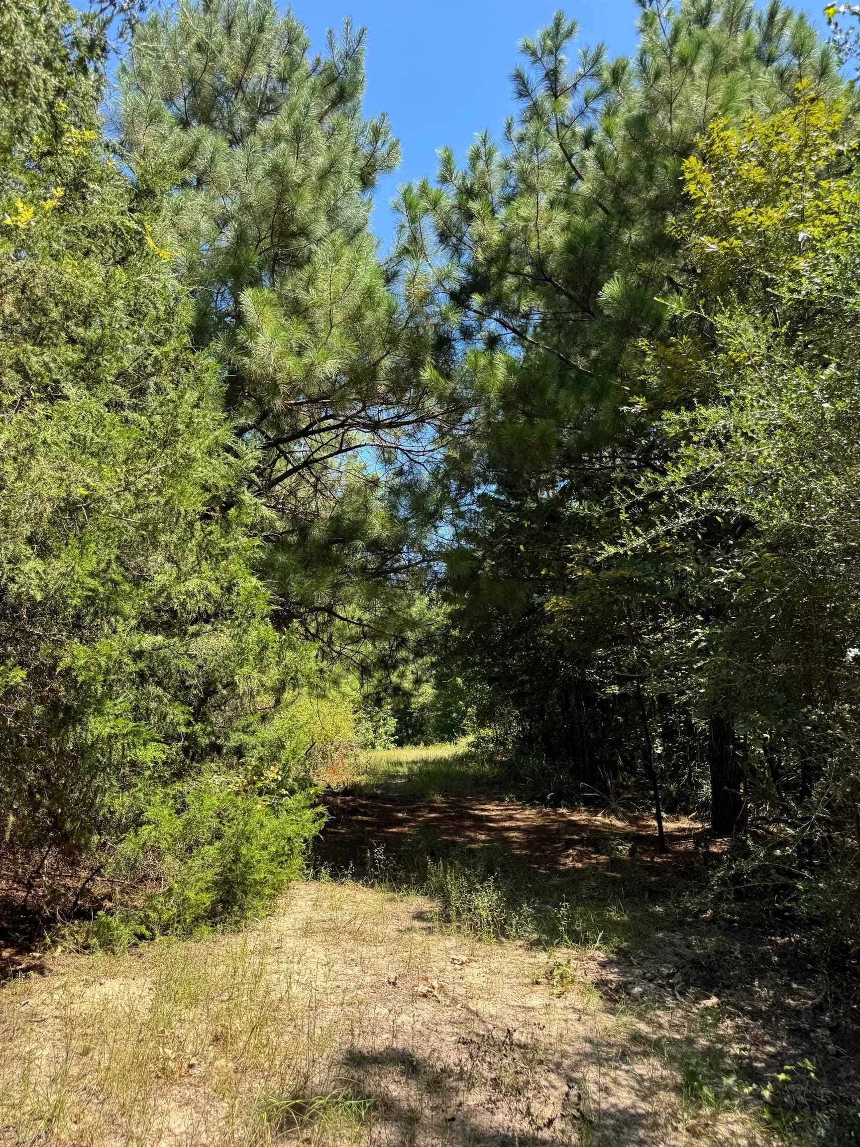 9.7 acres in Cass County - photo 16