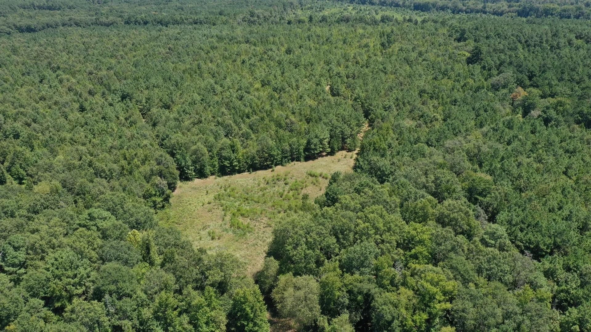 9.7 acres in Cass County - photo 6
