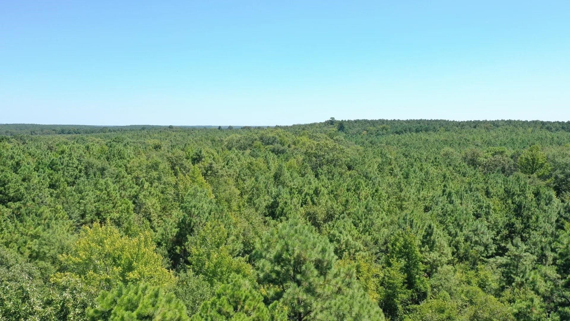 9.7 acres in Cass County - photo 2