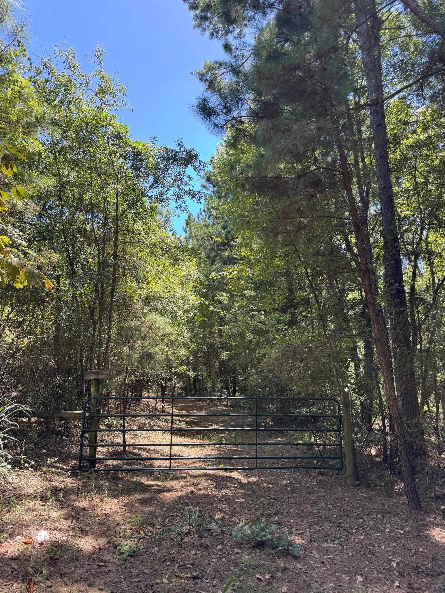 9.7 acres in Cass County - photo 9