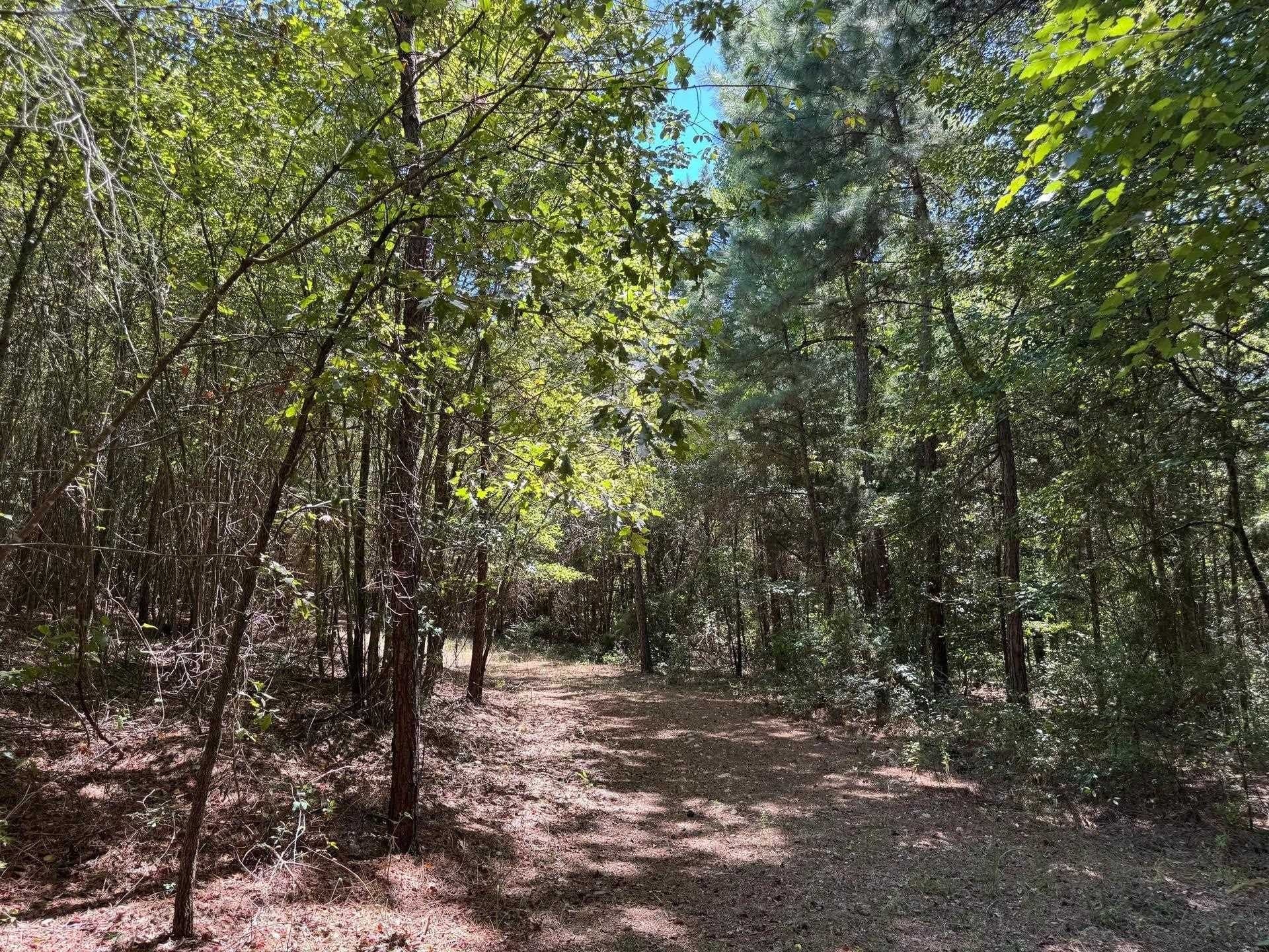 9.7 acres in Cass County - photo 10