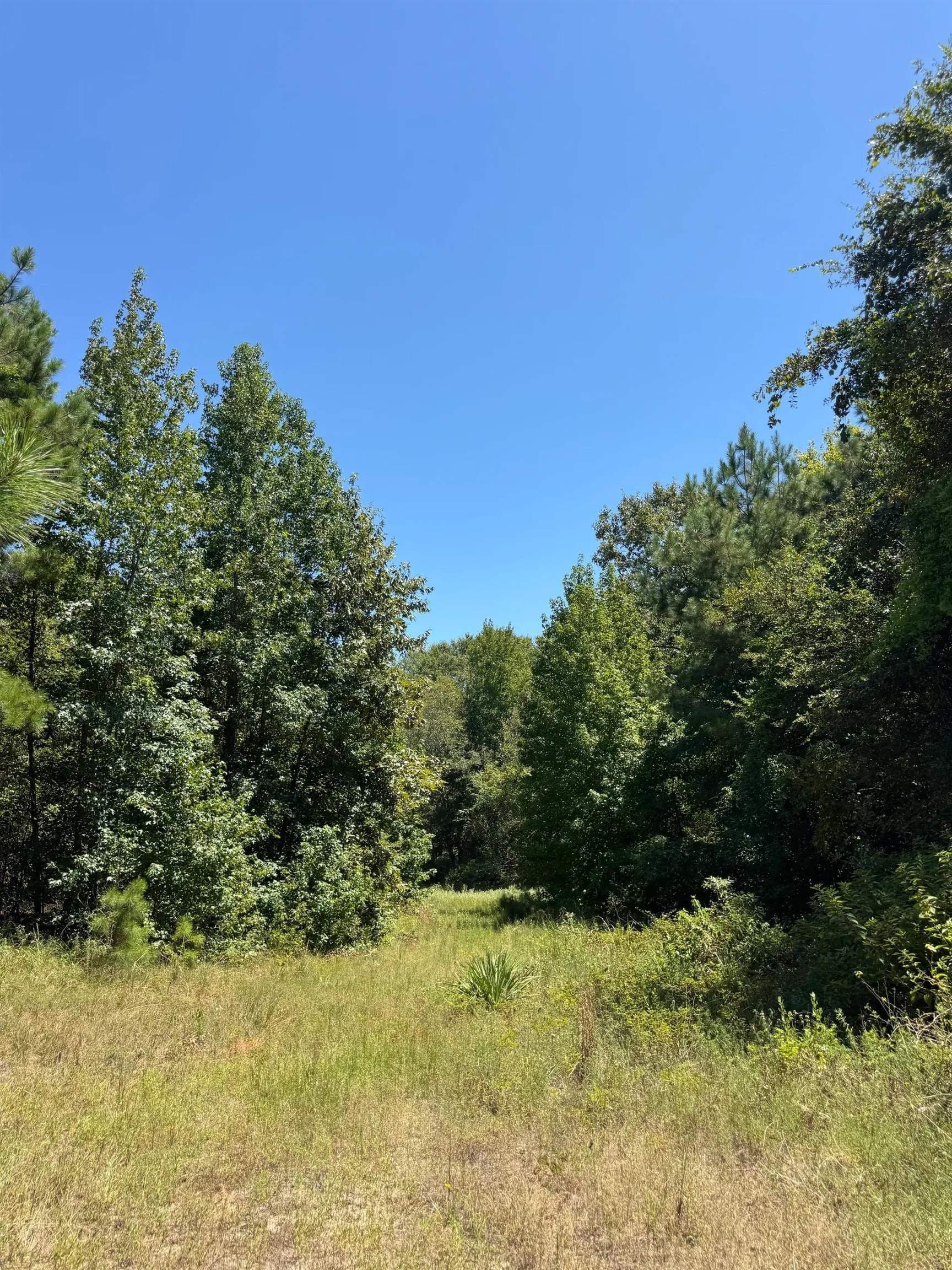 9.7 acres in Cass County - photo 17