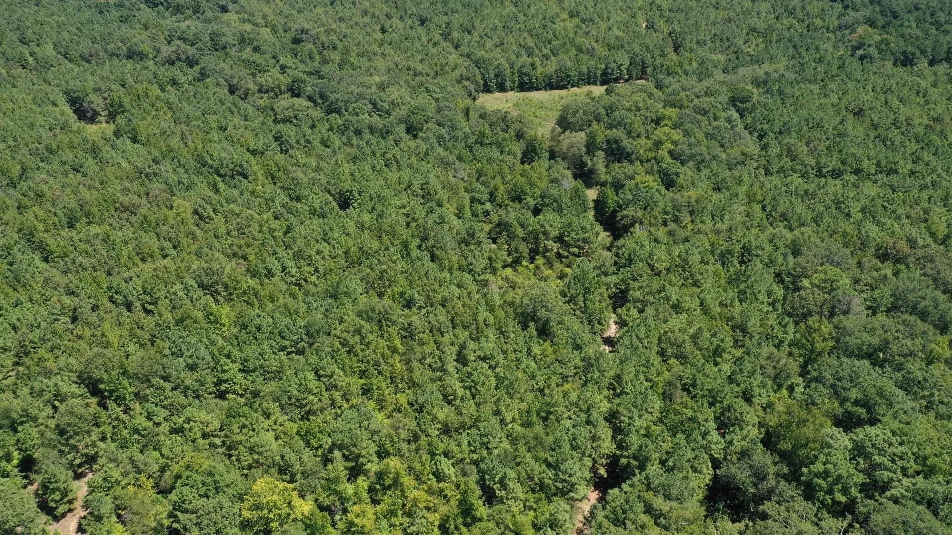 9.7 acres in Cass County - photo 3