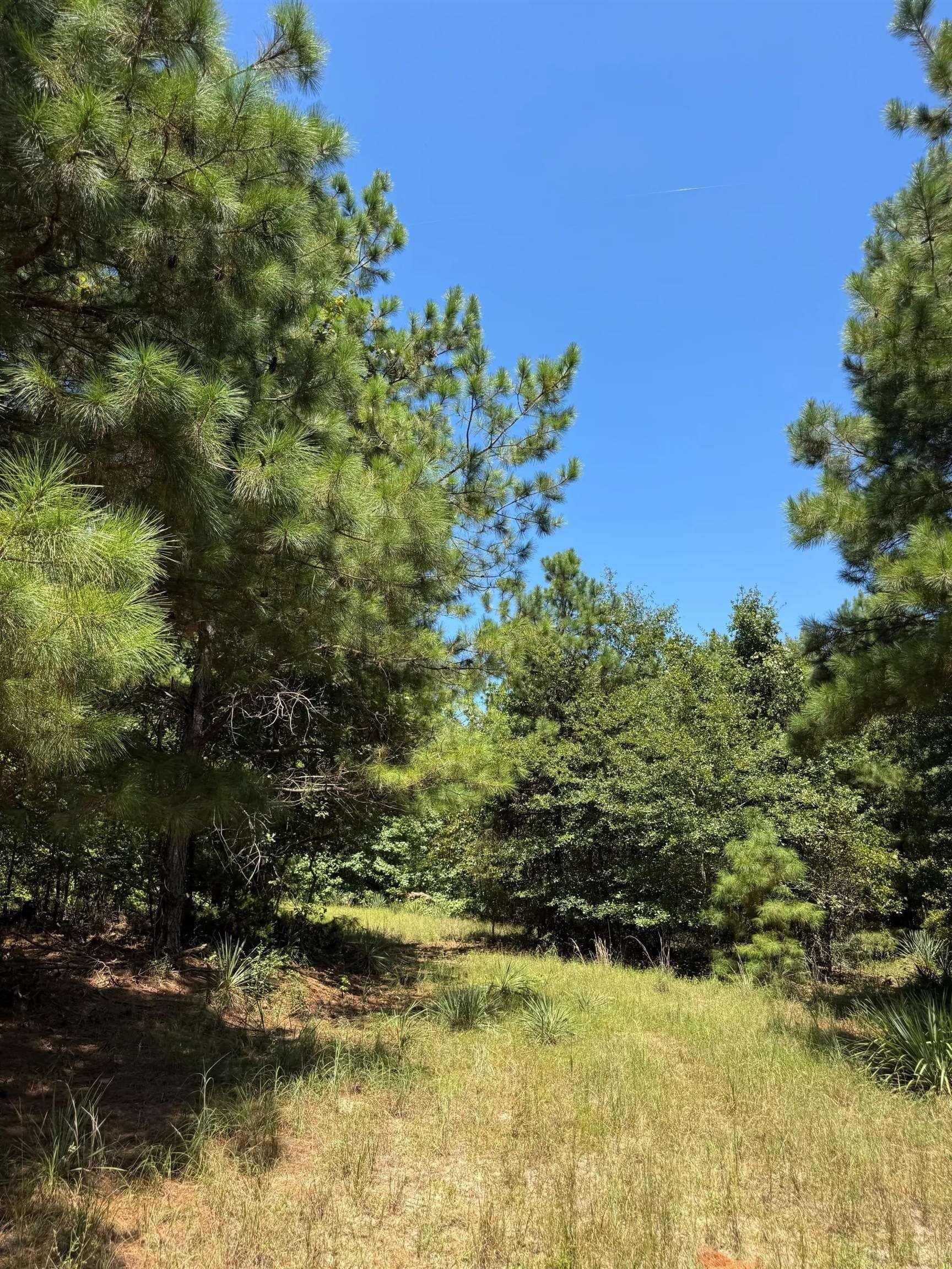 9.7 acres in Cass County - photo 18
