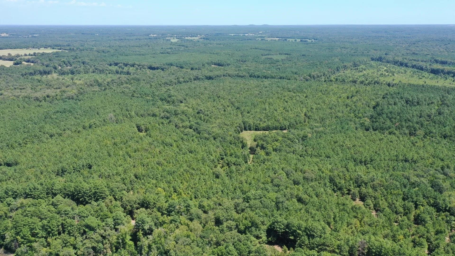9.7 acres in Cass County - photo 4