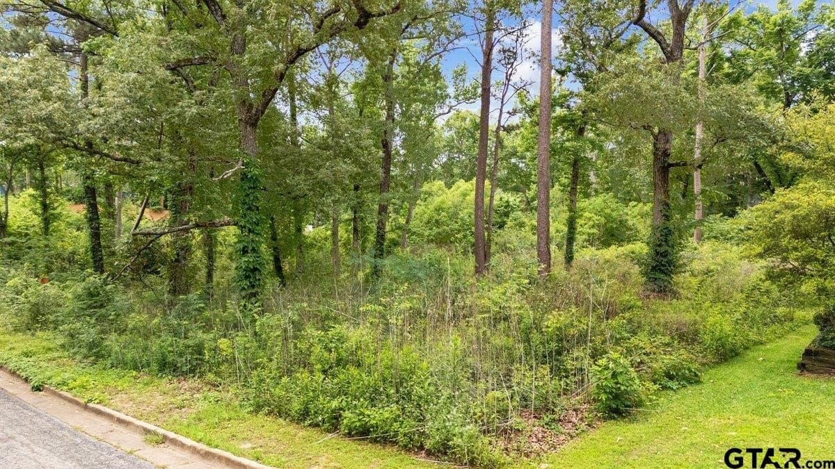 2.23 acres in Smith County gallery image 4