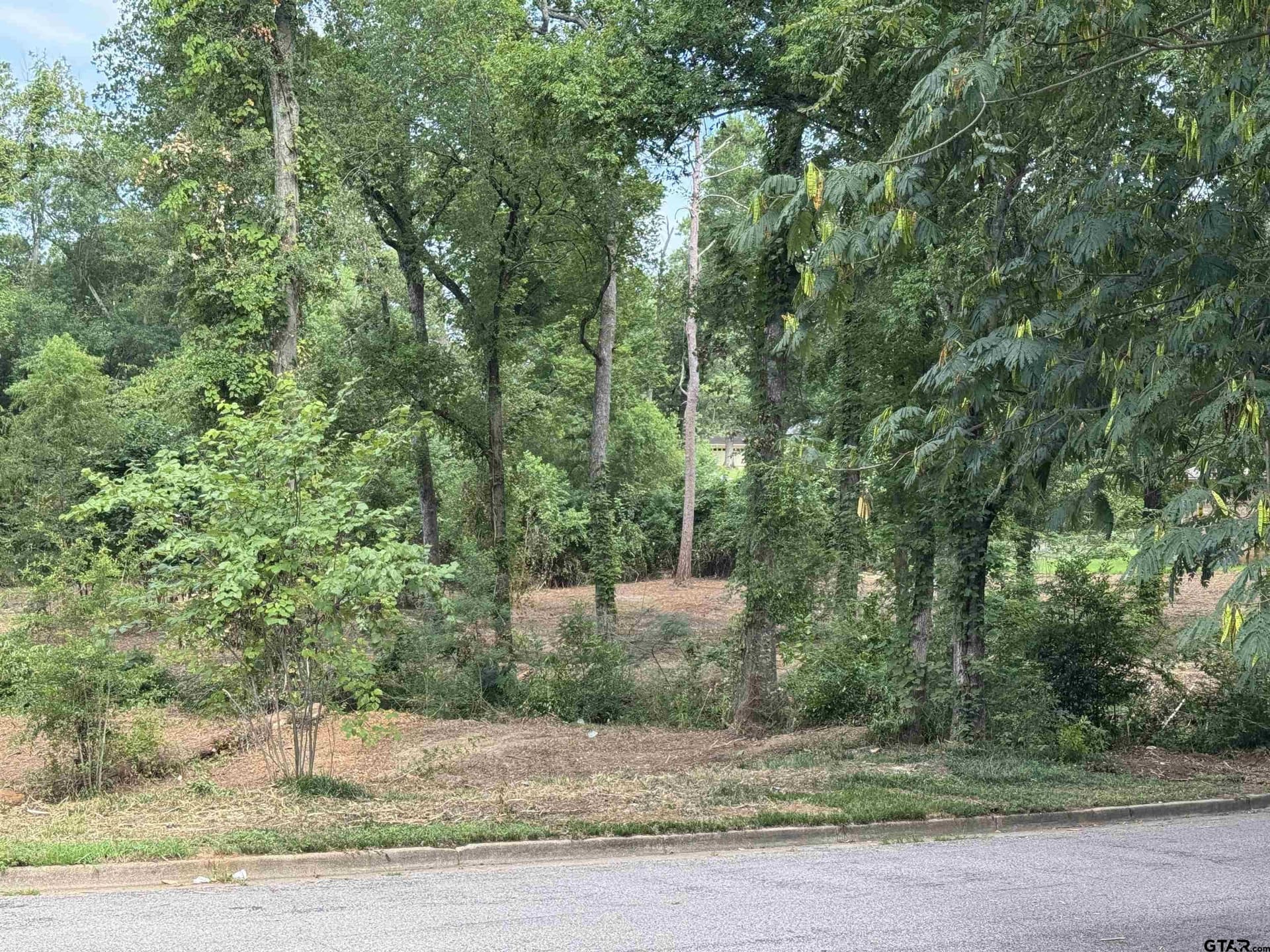 2.23 acres in Smith County - photo 8