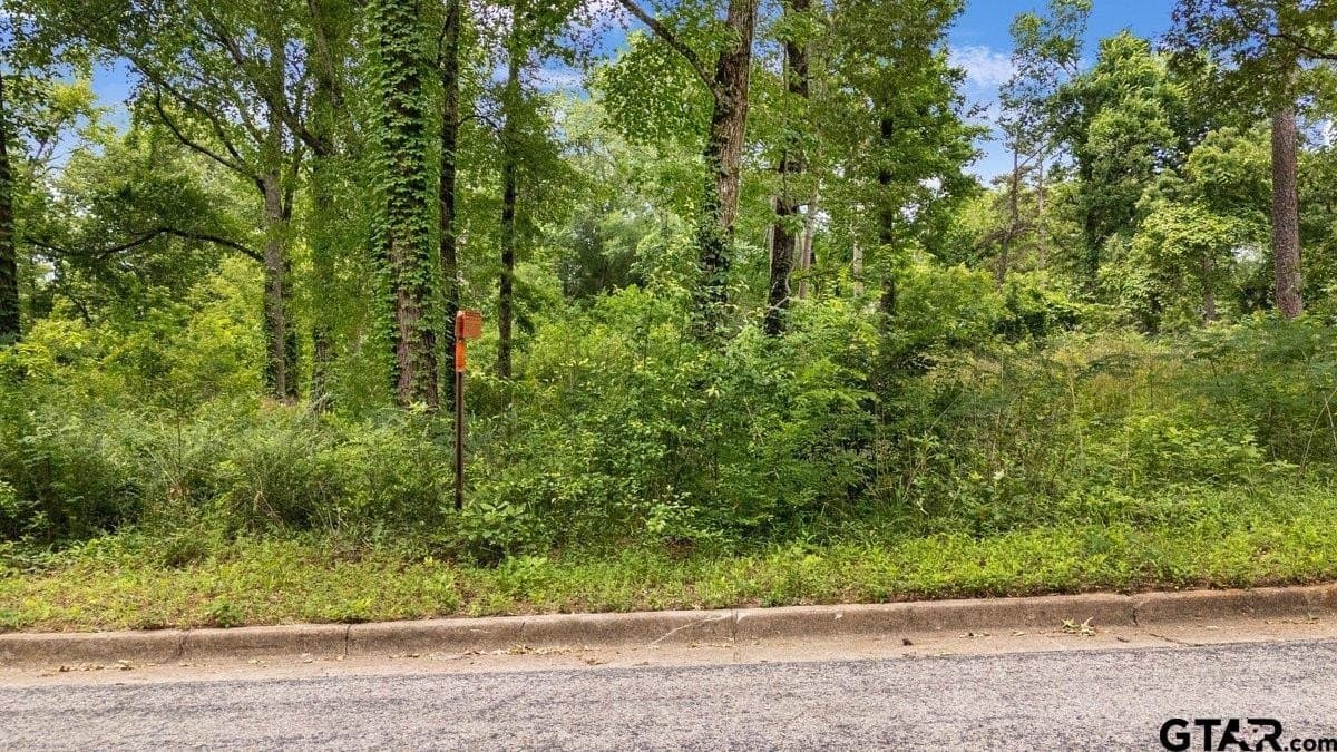 2.23 acres in Smith County gallery image 3