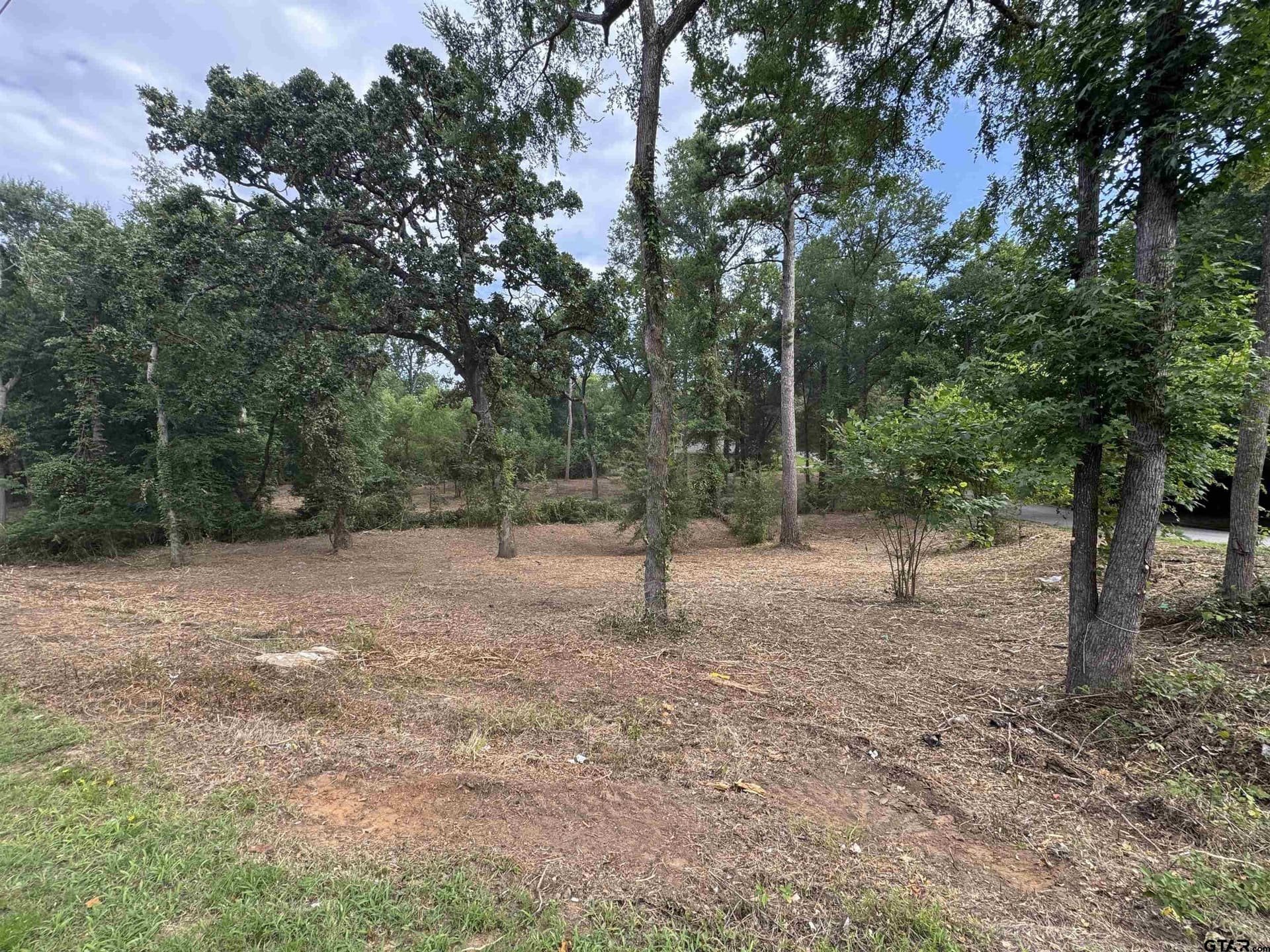 2.23 acres in Smith County - photo 5