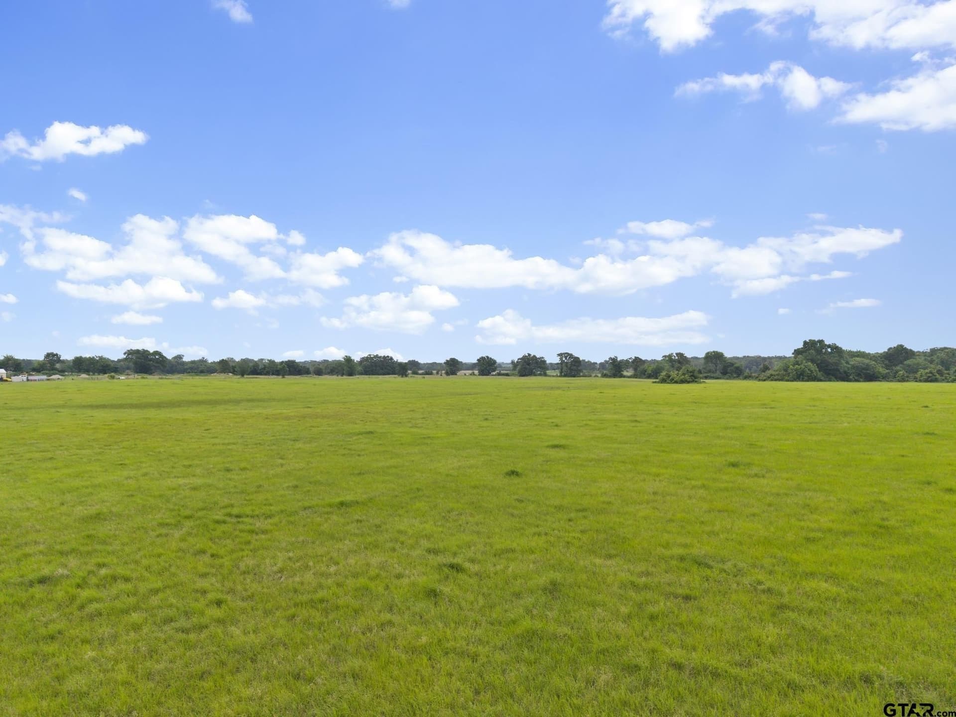 27.83 acres in Rains County - photo 6
