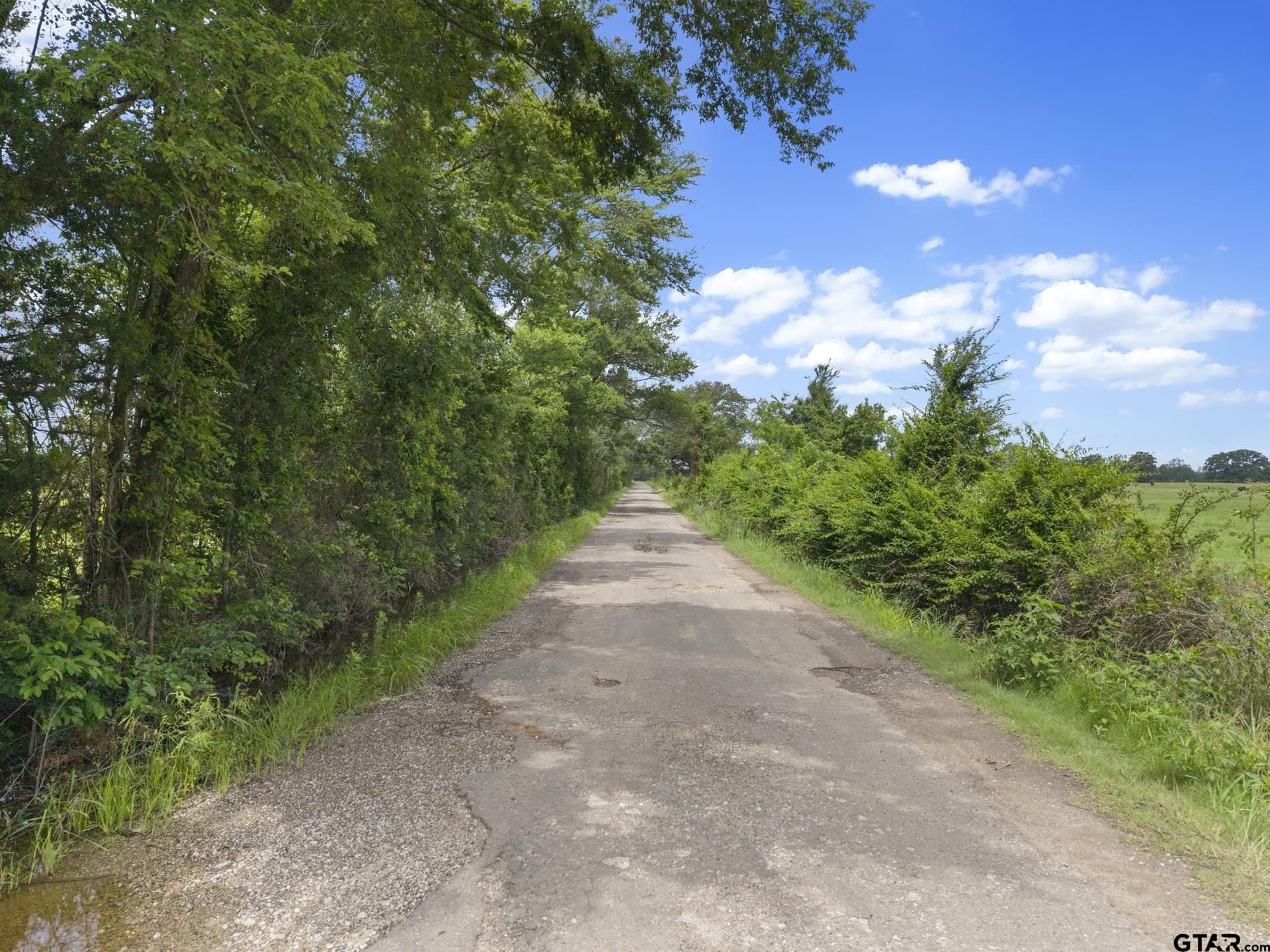 27.83 acres in Rains County - photo 13