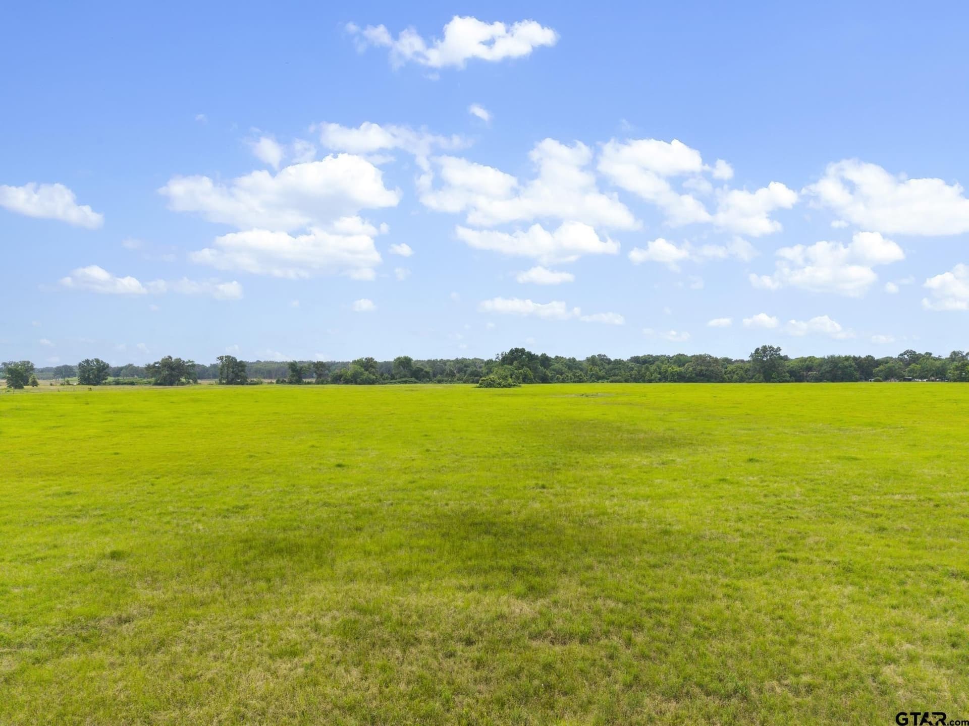27.83 acres in Rains County - photo 12
