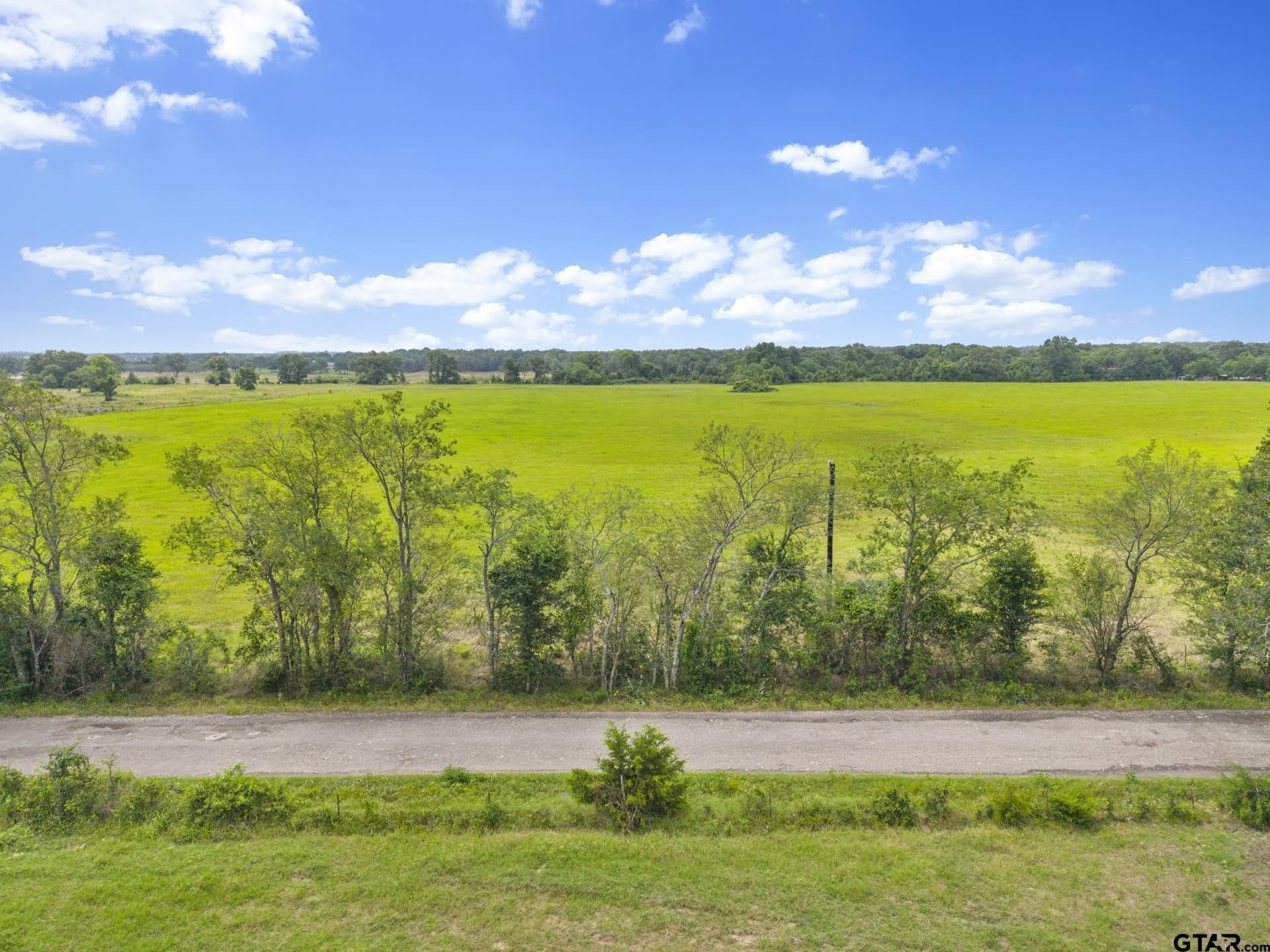 27.83 acres in Rains County - photo 15