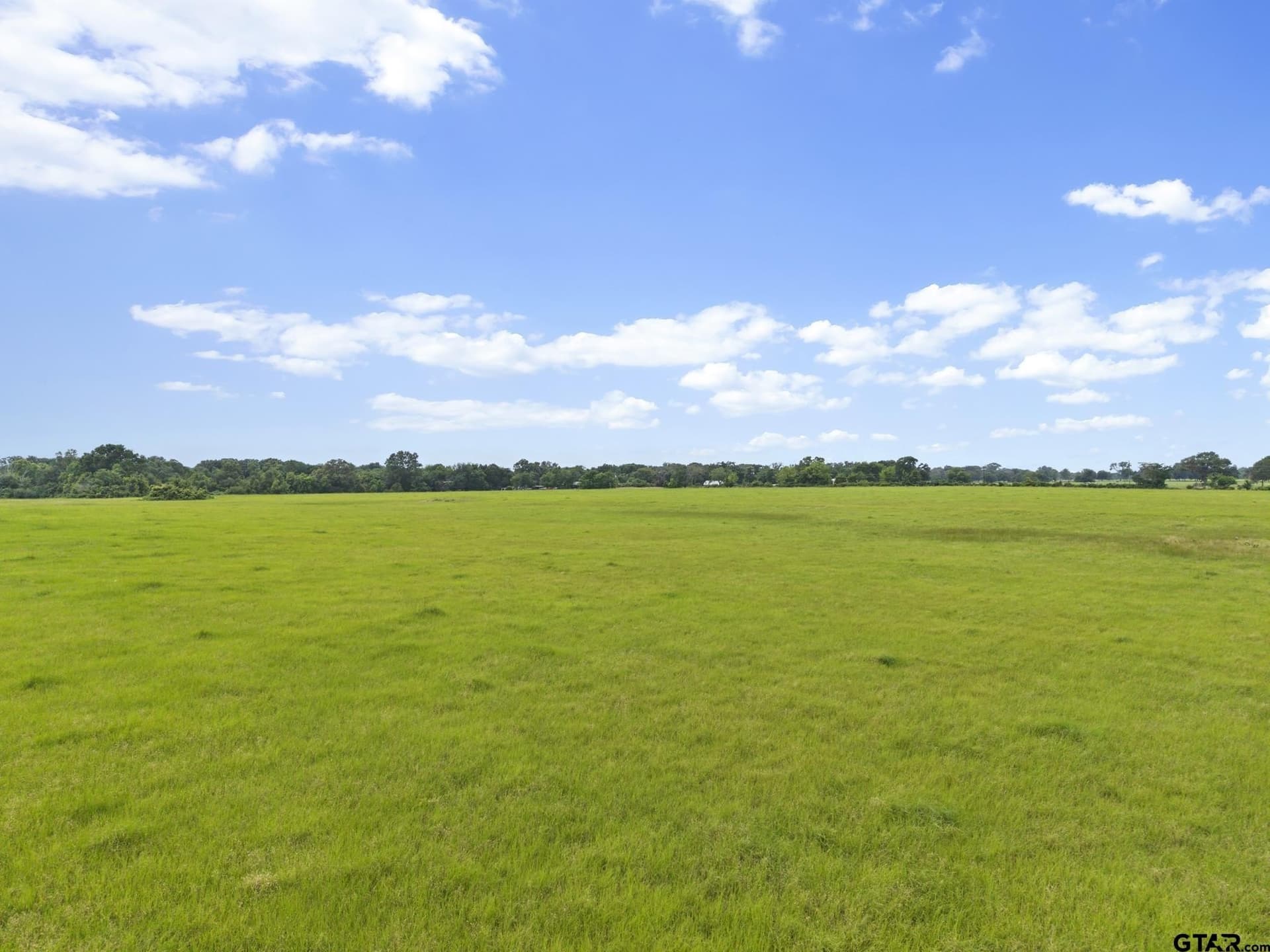 27.83 acres in Rains County - photo 11