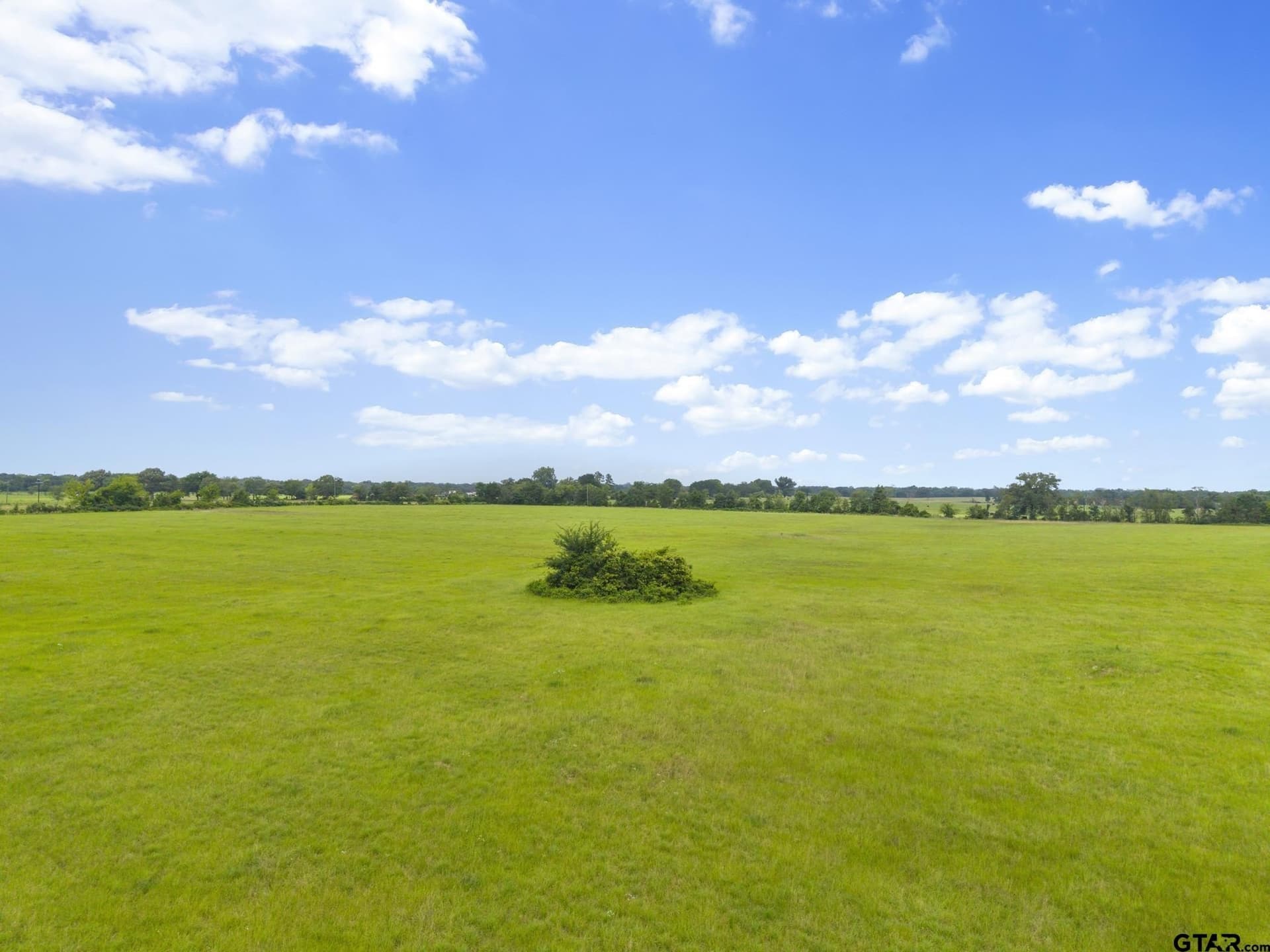 27.83 acres in Rains County - photo 10