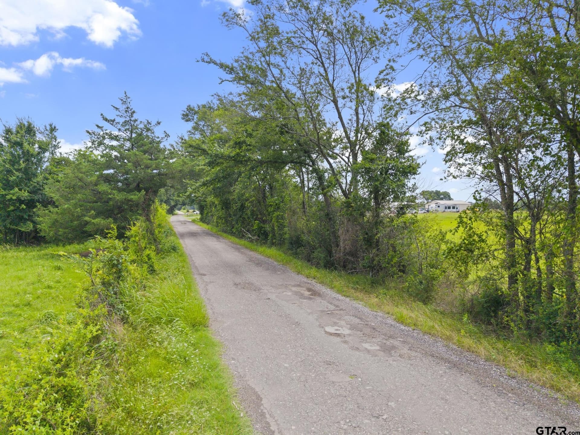 27.83 acres in Rains County - photo 14